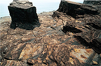 经由海浪冲击而形成的塔状或石柱残骸。通常是海蚀拱崩塌后的残骸。海蚀柱可以在接近、或现今海平面之上出现。