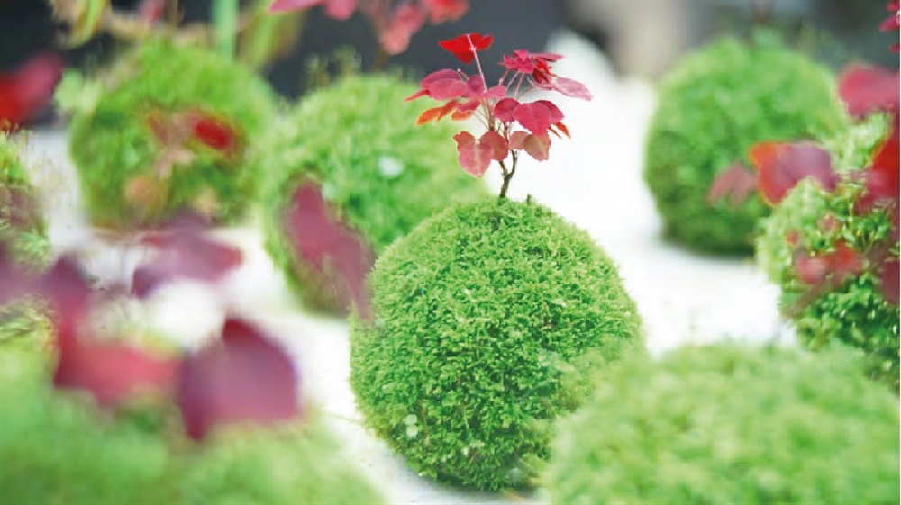 Photo 7 - Workshop on making &quot;Kokedama&quot;: Re-grassing of bare soil surface area is one of the typical routine maintenance works for slopes.  Participants can learn the importance of routine slope maintenance by making a &quot;Kokedama&quot;.